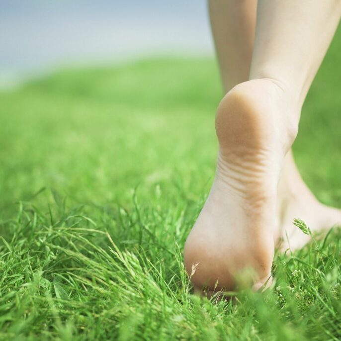 reconexao-natureza-equilibri1