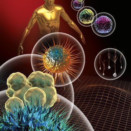 3d rendered depiction of Stem Cells and a human figure.