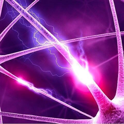 sinapses-equilibri1-rapidez-raciocinio