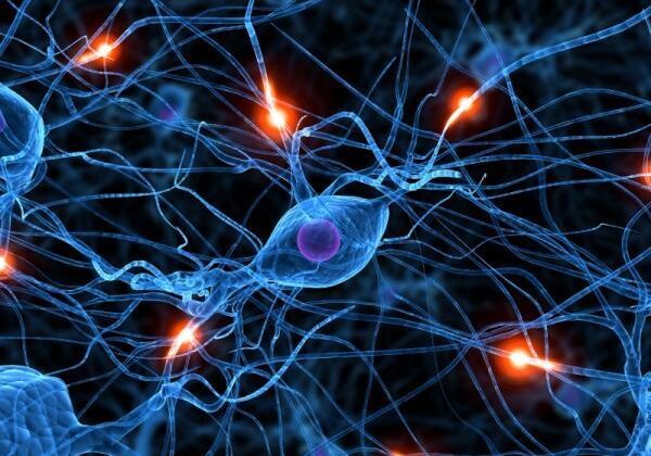 sinapses-neurais-equilibri1